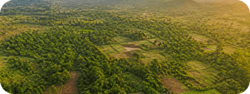Livelihood & Agriculture
