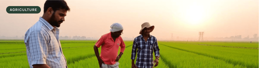 Saline-Resilient Farming